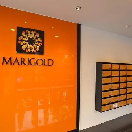 Marigold Ramkhamhaeng